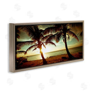 Susan Bryant | Sunlit Palm Trees