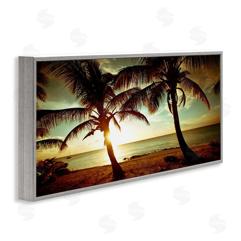 Susan Bryant | Sunlit Palm Trees
