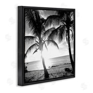 Susan Bryant | Sunlit Palm Silhouettes