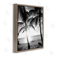 Susan Bryant | Sunlit Palm Silhouettes