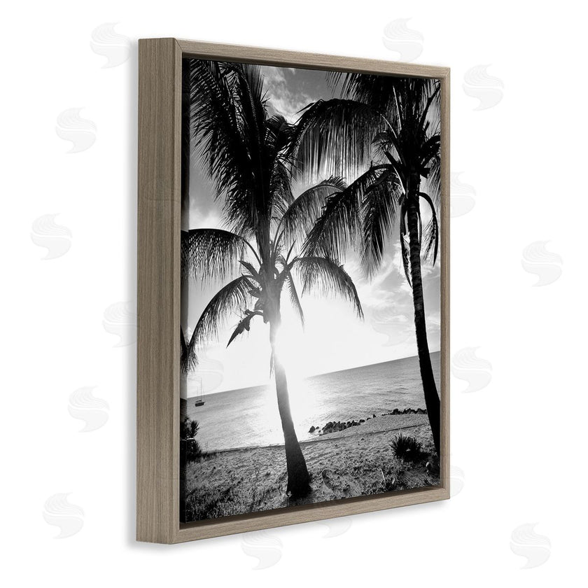 Susan Bryant | Sunlit Palm Silhouettes