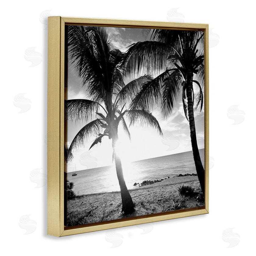 Susan Bryant | Sunlit Palm Silhouettes