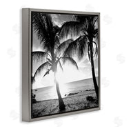 Susan Bryant | Sunlit Palm Silhouettes