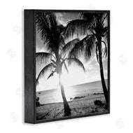 Susan Bryant | Sunlit Palm Silhouettes