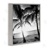 Susan Bryant | Sunlit Palm Silhouettes