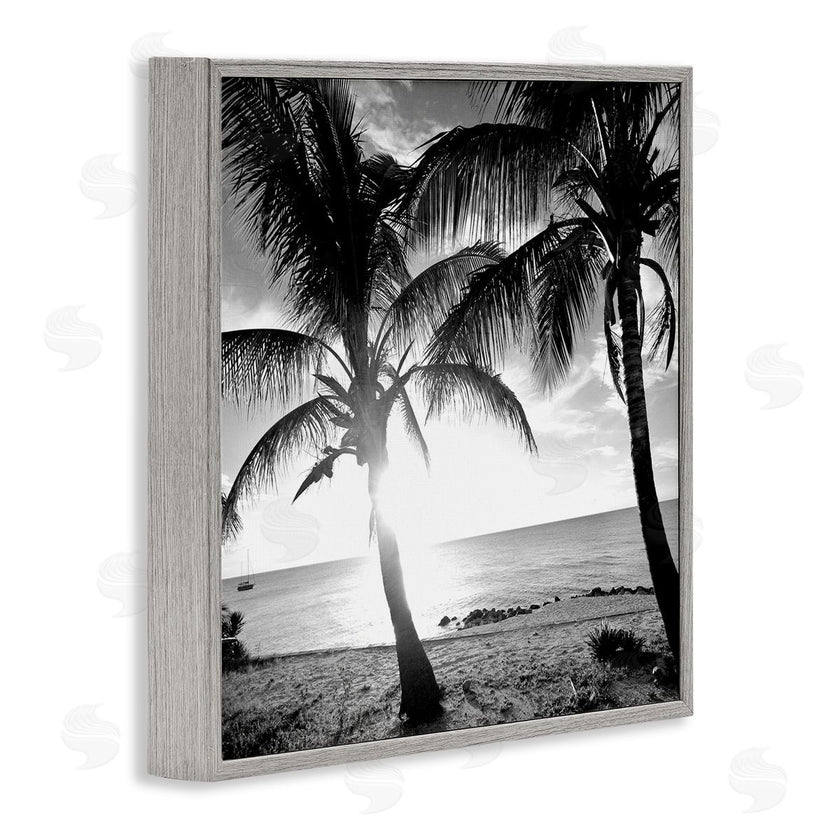 Susan Bryant | Sunlit Palm Silhouettes