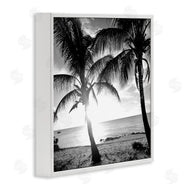Susan Bryant | Sunlit Palm Silhouettes