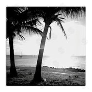 Susan Bryant | Palm Tree Silhouettes