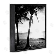 Susan Bryant | Palm Tree Silhouettes