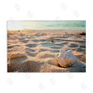 Susan Bryant | Conch Shell in Sand