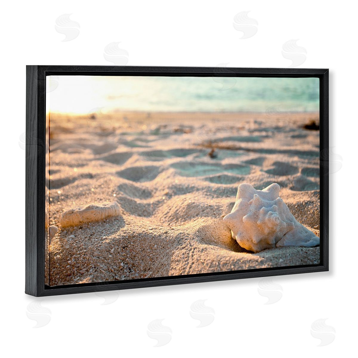 Conch Shell in Sand Black Floating Frame Canvas Wall Art, Home Decor by Susan Bryant