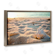 Susan Bryant | Conch Shell in Sand