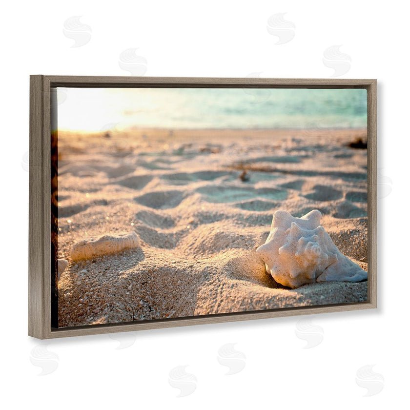 Susan Bryant | Conch Shell in Sand