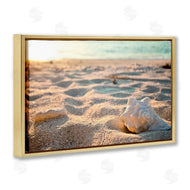 Susan Bryant | Conch Shell in Sand