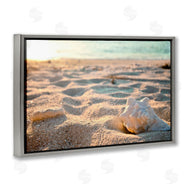Susan Bryant | Conch Shell in Sand
