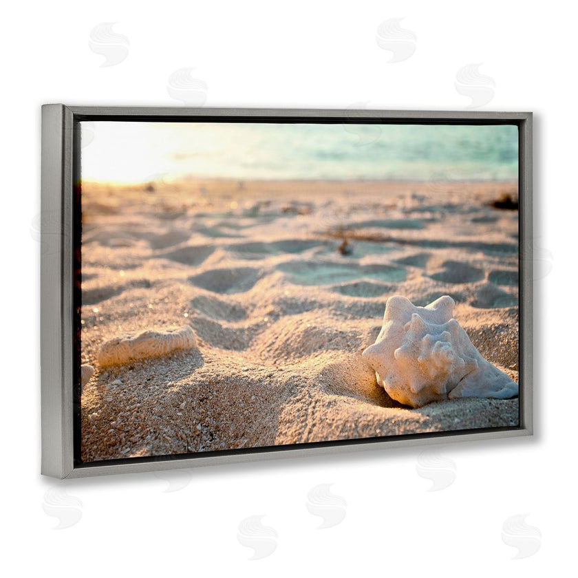 Susan Bryant | Conch Shell in Sand