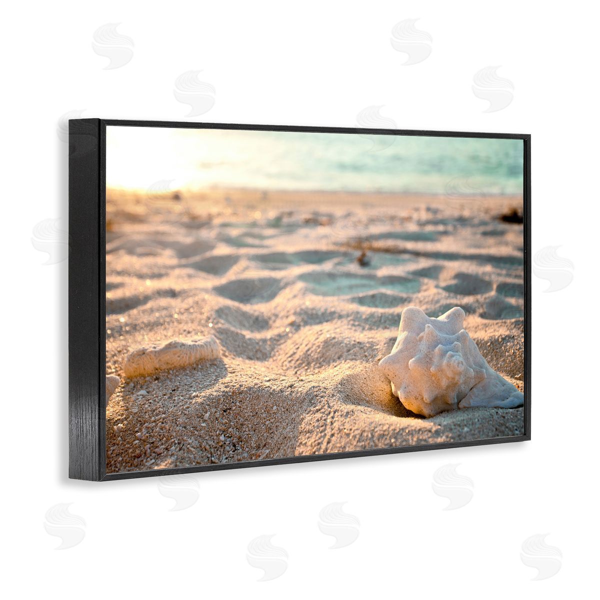 Conch Shell in Sand Black Frame Print Wall Art, Home Decor by Susan Bryant