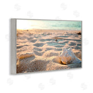 Susan Bryant | Conch Shell in Sand