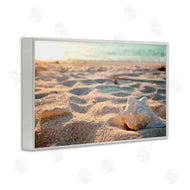 Susan Bryant | Conch Shell in Sand