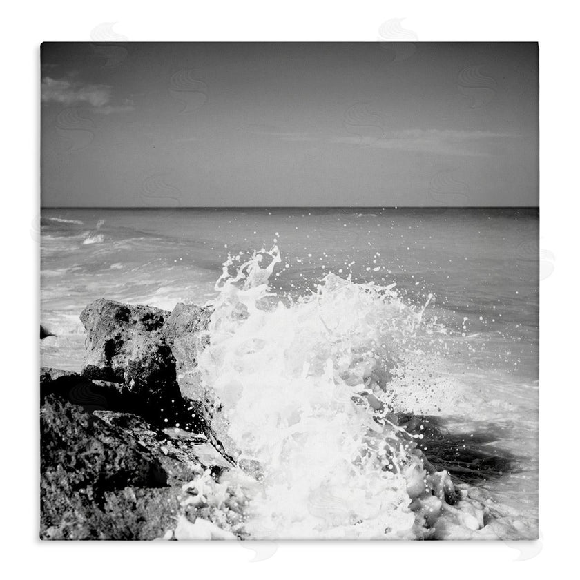 Susan Bryant | Splashing Rough Waters
