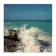 Susan Bryant | Splashing Beach Spray