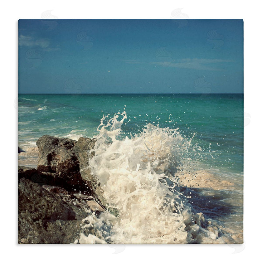 Susan Bryant | Splashing Beach Spray