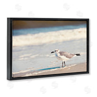 Susan Bryant | Seagull Stepping on Shore