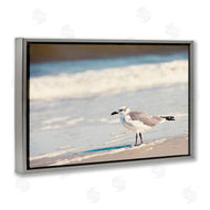 Susan Bryant | Seagull Stepping on Shore