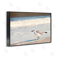 Susan Bryant | Seagull Stepping on Shore