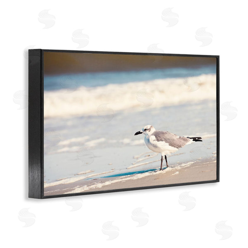 Susan Bryant | Seagull Stepping on Shore