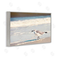 Susan Bryant | Seagull Stepping on Shore