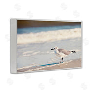 Susan Bryant | Seagull Stepping on Shore