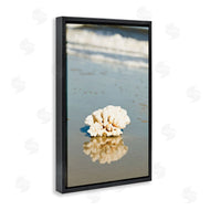 Susan Bryant | Coral on Sea Shore