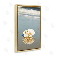 Susan Bryant | Coral on Sea Shore