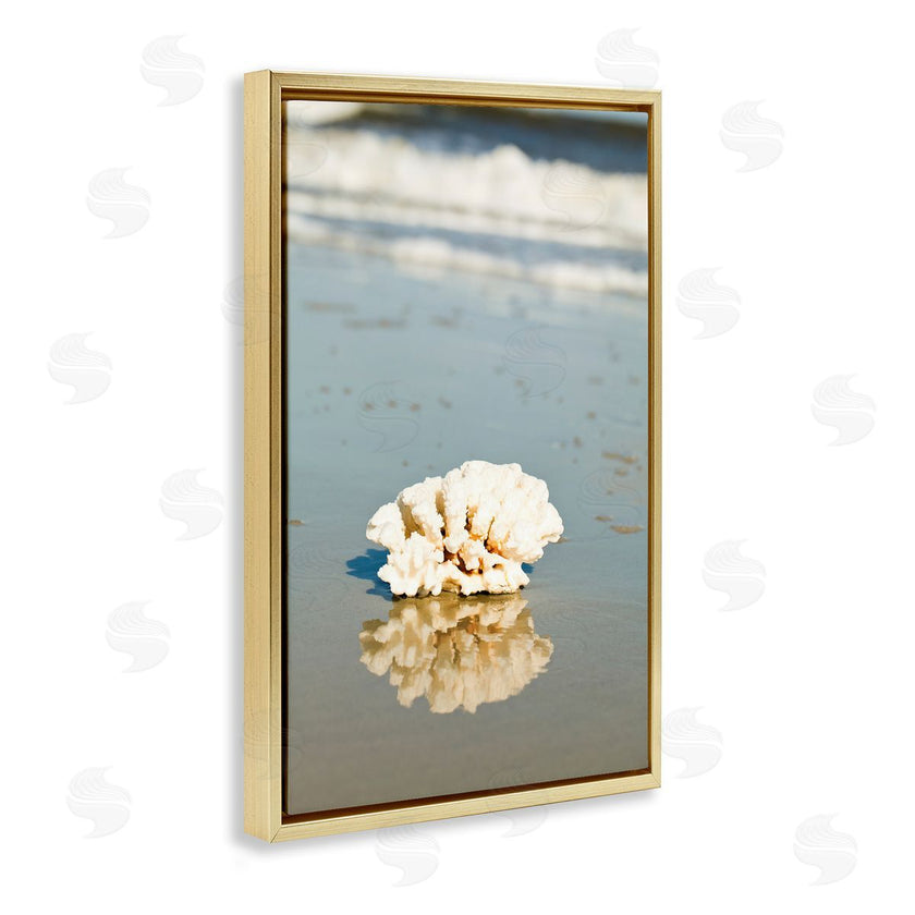 Susan Bryant | Coral on Sea Shore