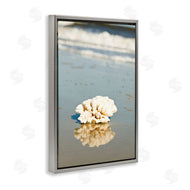 Susan Bryant | Coral on Sea Shore