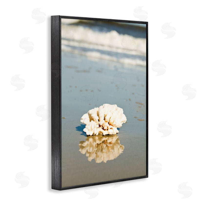 Susan Bryant | Coral on Sea Shore