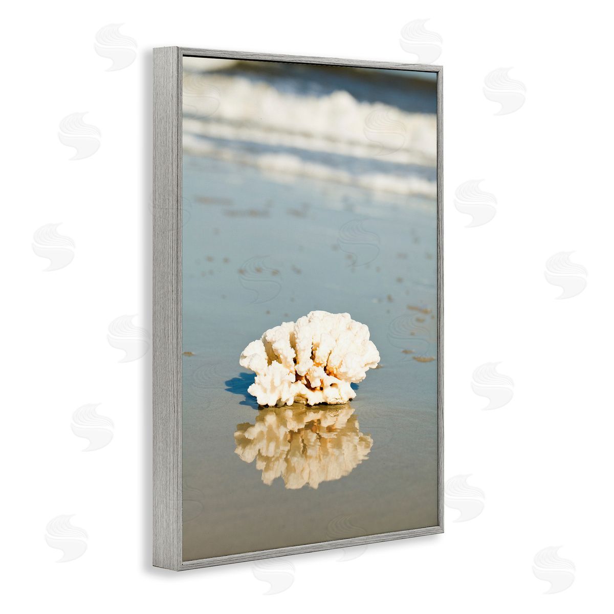 Coral on Sea Shore Grey Frame Print Wall Art, Home Decor by Susan Bryant