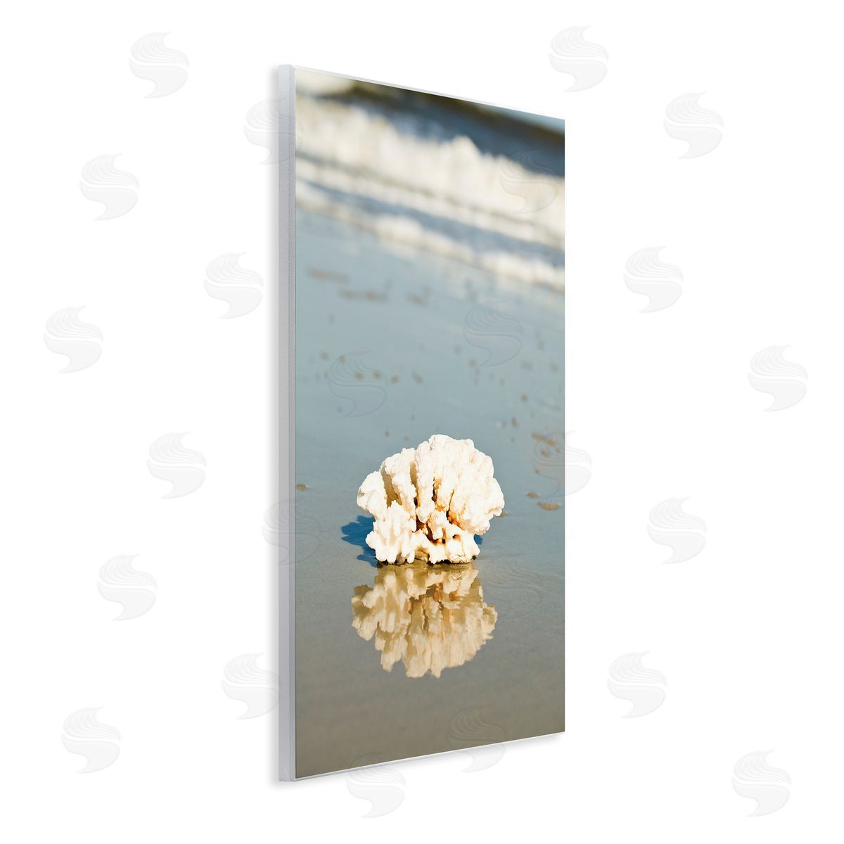Coral on Sea Shore Wood Plaque Wall Art, Home Decor by Susan Bryant