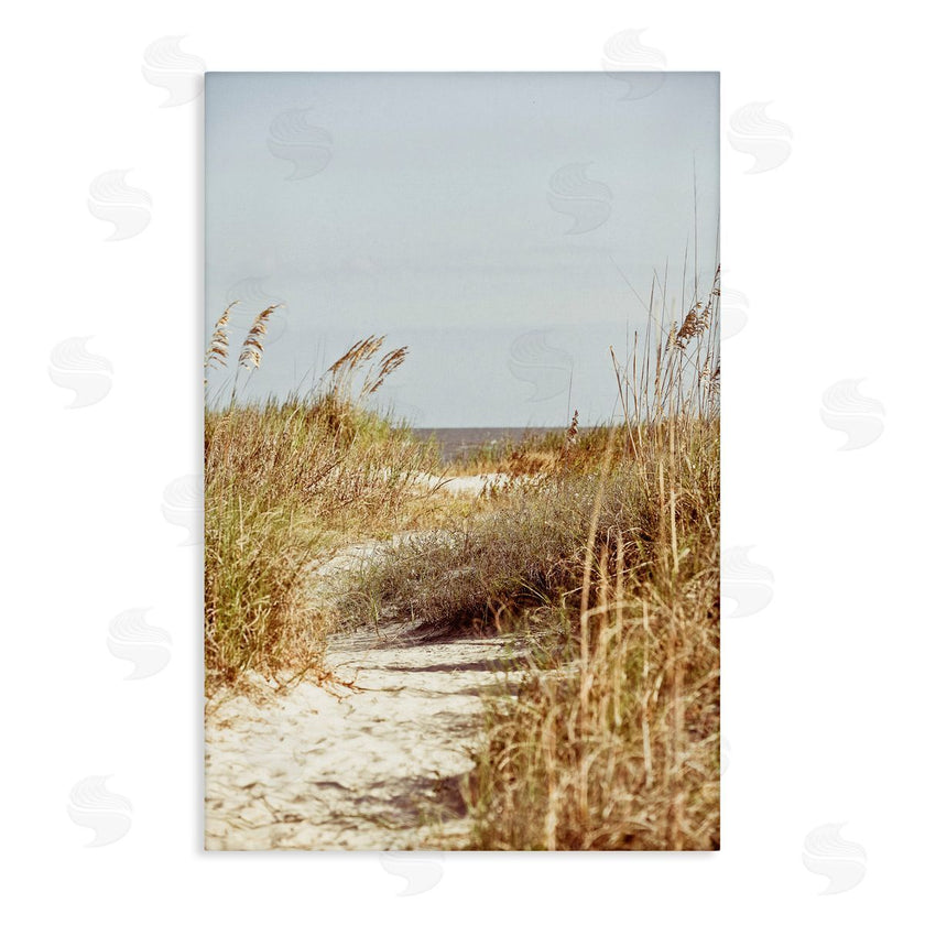 Susan Bryant | Sandy Path with Reeds