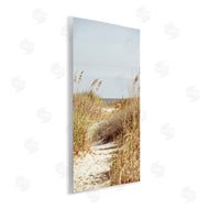 Susan Bryant | Sandy Path with Reeds
