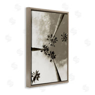 Wil Stewart | Centric Palm Trees