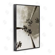Wil Stewart | Centric Palm Trees