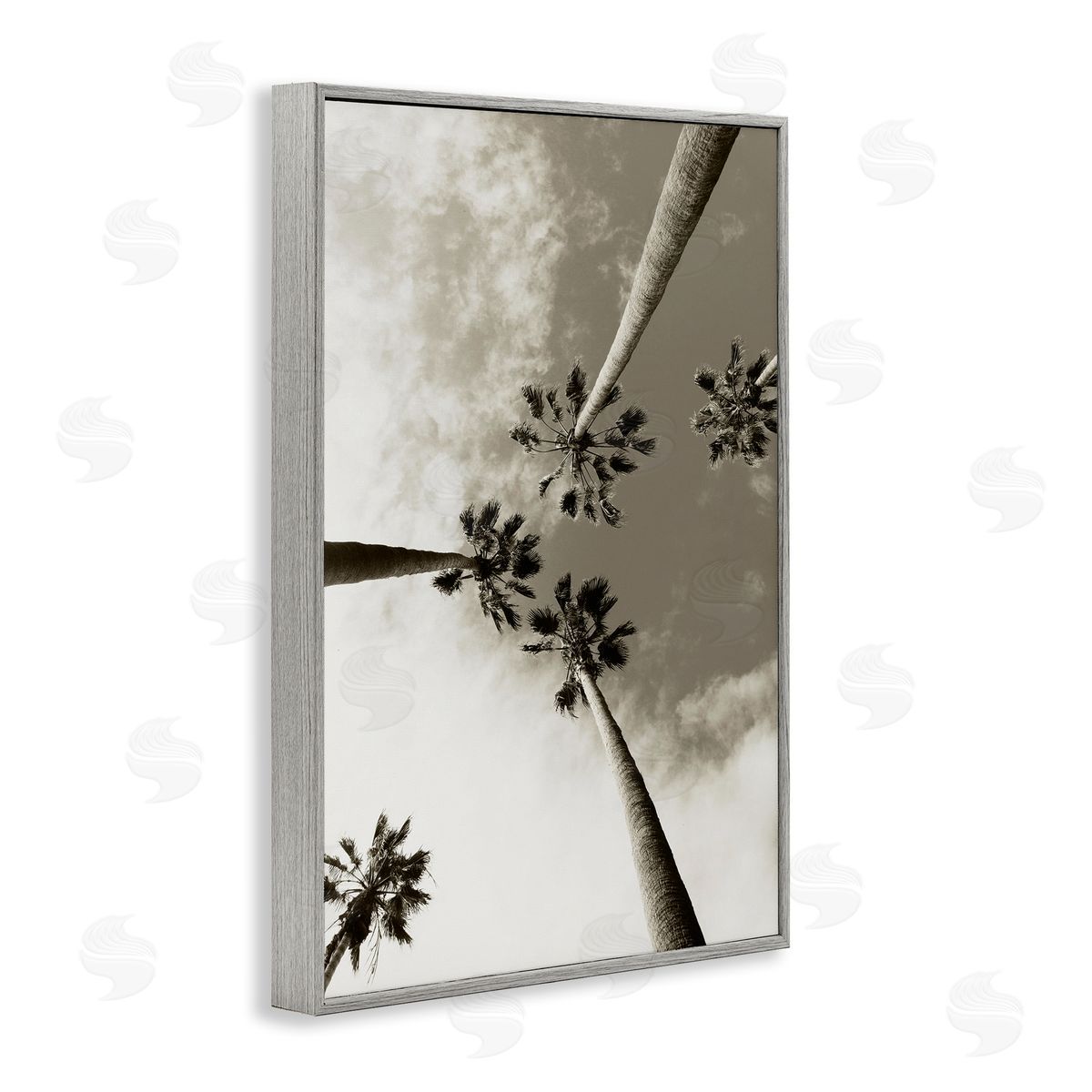 Centric Palm Trees Grey Frame Print Wall Art, Home Decor by Wil Stewart