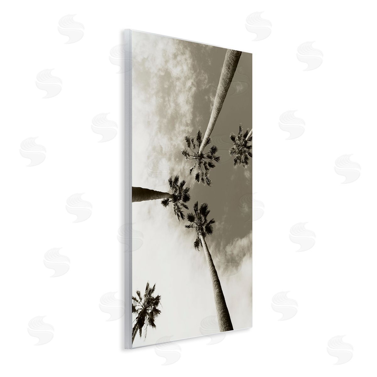Centric Palm Trees Wood Plaque Wall Art, Home Decor by Wil Stewart
