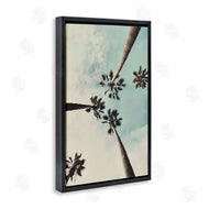 Wil Stewart | Centric Tropical Palms