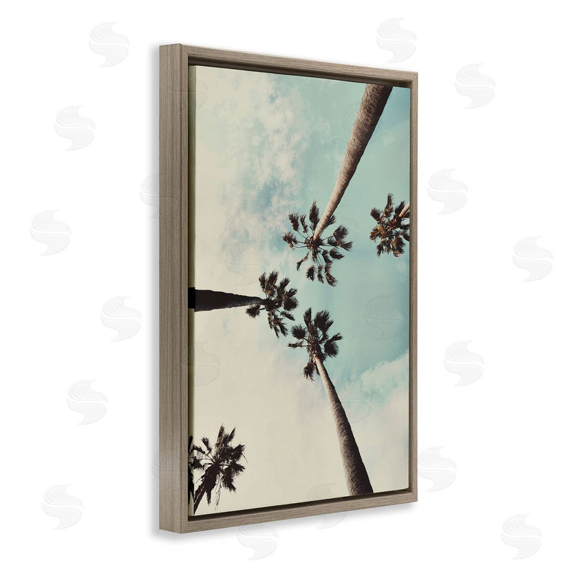 Wil Stewart | Centric Tropical Palms