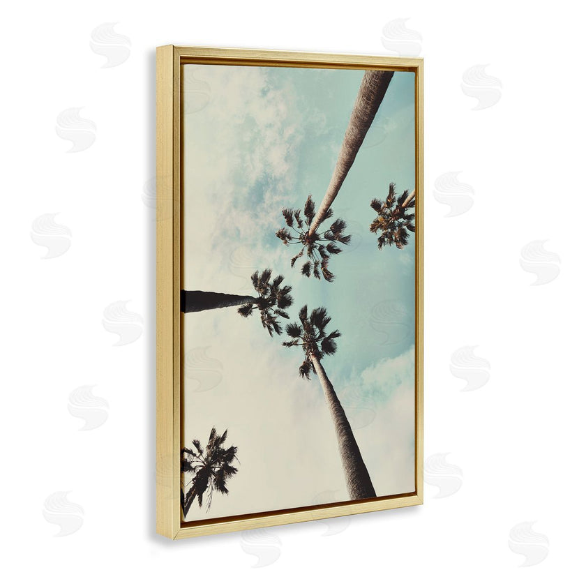 Wil Stewart | Centric Tropical Palms