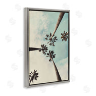 Wil Stewart | Centric Tropical Palms