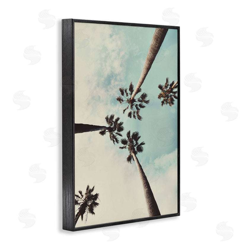 Wil Stewart | Centric Tropical Palms